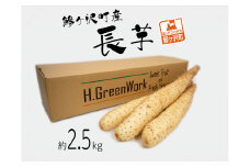 鯵ヶ沢町産 長芋（2.5kg）