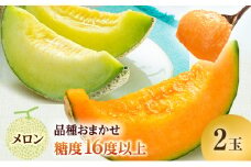 メロン 先行 予約 青森 減農薬栽培メロン 2玉 糖度16度以上保証 減農薬 青肉 赤肉 青肉メロン 赤肉メロン フルーツ 果物 旬のフルーツ 旬の果物 旬 夏 レビュー 高評価 先行予約 2025 2025年 青森県