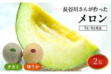 【先行予約2025年産】長谷川さんが作ったメロン2個（ゆうか・タカミ）　7月～8月発送　青森県鰺ヶ沢町産