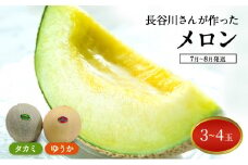 【先行予約2025年産】長谷川さんが作ったメロン3～4個（ゆうか・タカミ）　7月～8月発送　青森県鰺ヶ沢町産