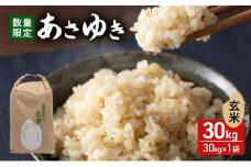 数量限定 新米 あさゆき 玄米 30kg H.GREENWORK 令和7年産 米 お米 ご飯 30キロ 希少 限定 先行 予約 先行予約 こめ おこめ コメ ごはん 青森 青森県 鰺ヶ沢町