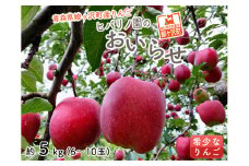 りんご 青森 おいらせ リンゴ 約 5kg (6～10玉) 青森県 鰺ヶ沢町産 ヒバリノ園 フルーツ 果物 果物類 白神山地 林檎 ※オンライン決済のみ 