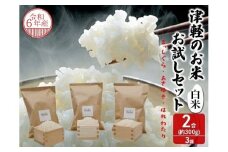 先行予約 新米 令和6年産 津軽のお米お試し セット 白米 2合 (約300g) 3袋 まっしぐら あさゆき はれわたり 米 精米 こめ お米 コメ 令和6年 食べ比べセット 食べ比べ 詰め合わせ 青森 青森県