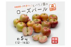 りんご 青森 ローズパール リンゴ 約 5kg (12～16玉) 青森県 鰺ヶ沢町産 ヒバリノ園 フルーツ 果物 果物類 白神山地 林檎 2024 ※オンライン決済のみ