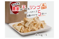 ドライフルーツ 青森 農家が干した りんご 40g×5種 計5袋 セット 風丸農場 無添加 品種おまかせ ひとくちサイズ ドライアップル 詰め合わせ 食べ比べ 干しリンゴ ドライ アップル スイーツ お菓子 菓子 おやつ フルーツ 果物 リンゴ 林檎 青森県