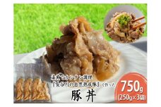 豚丼 750g (250g×3袋) 長谷川の自然熟成豚 湯煎 湯せん おかず 惣菜 レトルト レトルト食品 簡単調理 豚 ぶた ブタ 豚肉 肉 お肉 キャンプ アウトドア キャンプ飯 青森 青森県