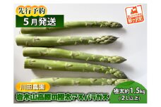 先行予約 岩木山高原 極太 アスパラガス 約1.5kg 2L以上 5月6月発送 アスパラ 野菜 旬の野菜 産地直送 季節の野菜 春野菜 青森 青森県 鰺ヶ沢町