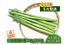 先行予約 川田農園 アスパラガス 約1.5kg L～2L 厳選 5月6月発送 アスパラ 野菜 旬の野菜 産地直送 季節の野菜 春野菜 青森 青森県 鰺ヶ沢町