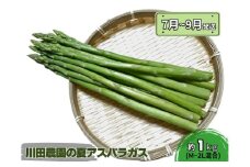 アスパラガス 先行予約 夏アスパラガス 約1kg+100g M～2L 混合 川田農園 アスパラ グリーンアスパラ 野菜 夏野菜 旬 旬の野菜 産地直送 2025年 2025 予約 青森 冷蔵 冷蔵配送 7月～9月発送