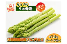 アスパラガス 先行予約 春アスパラガス 約1.5kg S～2L 訳あり 不揃い 佐藤農園 規格外 アスパラ グリーンアスパラ 野菜 春野菜 春 旬 朝どれ 産地直送 2025年 2025 先行 予約 青森 冷蔵 冷蔵配送 5月6月発送