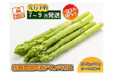アスパラガス 先行予約 夏アスパラガス 約1.5kg+100g S～2L 訳あり 不揃い 佐藤農園 規格外 アスパラ グリーンアスパラ 野菜 夏野菜 夏 旬 産地直送 高評価 2025年 2025 予約 青森 冷蔵配送 7月～9月発送