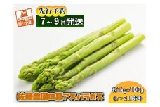 アスパラガス 先行予約 夏アスパラガス 約1kg+100g L～2L 厳選 佐藤農園 アスパラ グリーンアスパラ 野菜 夏野菜 夏 旬 旬の野菜 産地直送 2025年 2025 先行 予約 青森 青森県 冷蔵 冷蔵配送 7月～9月発送