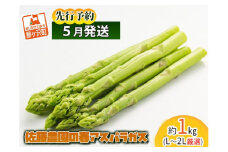 アスパラガス 先行予約 春アスパラガス 約1kg L～2L 厳選 佐藤農園 アスパラ グリーンアスパラ 野菜 春野菜 春 旬 旬の野菜 朝どれ 産地直送 2025年 2025 先行 予約 青森 青森県 冷蔵 冷蔵配送 5月 6月発送