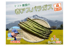 アスパラガス 先行予約 春アスパラガス 約1kg L～2L 厳選 マコト農園 アスパラ グリーンアスパラ 野菜 春 旬 旬の野菜 朝どれ 産地直送 2025年 2025 先行 予約 青森 冷蔵 冷蔵配送 5月6月発送