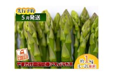 アスパラガス 先行予約 春アスパラガス 約1kg L～2L 厳選 やまたけ農園 アスパラ グリーンアスパラ 野菜 春野菜 春 旬 旬の野菜 朝どれ 産地直送 2025年 2025 先行 予約 青森 冷蔵 冷蔵配送 5月6月発送