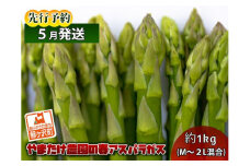 アスパラガス 先行予約 春アスパラガス 約1kg M～2L 混合 やまたけ農園 アスパラ グリーンアスパラ 野菜 春野菜 春 旬 旬の野菜 朝どれ 産地直送 2025年 2025 先行 予約 青森 冷蔵 冷蔵配送 5月6月発送