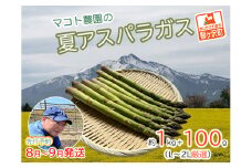 アスパラガス 先行予約 夏アスパラガス 約1kg+100g L～2L 厳選 マコト農園 アスパラ グリーンアスパラ 野菜 夏 旬 旬の野菜 産地直送 2025年 2025 先行 予約 青森 冷蔵 冷蔵配送 8月～9月発送