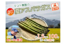 アスパラガス 先行予約 夏アスパラガス 約1.5kg+100g S～2L 訳あり 不揃い マコト農園 規格外 アスパラ グリーンアスパラ 野菜 旬 旬の野菜 産地直送 2025年 2025 予約 冷蔵配送 8月～9月発送