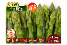 アスパラガス 先行予約 春アスパラガス 約1.5kg S～2L 訳あり 不揃い やまたけ農園 規格外 アスパラ グリーンアスパラ 野菜 春野菜 春 旬 朝どれ 産地直送 2025年 2025 予約 青森 冷蔵 冷蔵配送 5月6月発送