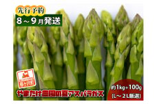 アスパラガス 先行予約 夏アスパラガス 約1kg+100g L～2L 厳選 やまたけ農園 アスパラ グリーンアスパラ 野菜 夏野菜 夏 旬 旬の野菜 産地直送 2025年 2025 先行 予約 青森 冷蔵 冷蔵配送 7月～9月発送