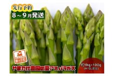 アスパラガス 先行予約 夏アスパラガス 約1kg+100g M～2L 混合 やまたけ農園 アスパラ グリーンアスパラ 野菜 夏野菜 夏 旬 旬の野菜 産地直送 2025年 2025 先行 予約 青森 冷蔵 冷蔵配送 7月～9月発送