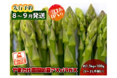 アスパラガス 先行予約 夏アスパラガス 約1.5kg+100g S～2L 訳あり 不揃い やまたけ農園 規格外 アスパラ グリーンアスパラ 野菜 夏野菜 夏 旬 産地直送 2025年 2025 予約 青森 冷蔵 冷蔵配送 7月～9月発送