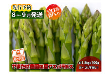 アスパラガス 先行予約 夏アスパラガス 約1.5kg+100g S～2L 訳あり 不揃い やまたけ農園 規格外 アスパラ グリーンアスパラ 野菜 夏野菜 夏 旬 産地直送 2025年 2025 予約 青森 冷蔵 冷蔵配送 7月～9月発送