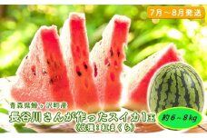 【先行予約2025年産】長谷川さんが作ったスイカ 1玉 約6～8kg（品種：紅まくら）7月～8月発送　青森県鰺ヶ沢町産