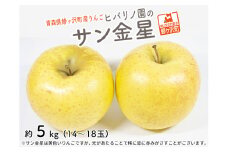 りんご 訳あり 青森 サン金星 リンゴ 約 5kg （14～18玉） 青森県 鰺ヶ沢町産 ヒバリノ園 フルーツ 果物 白神山地 林檎 産地直送 ※オンライン決済のみ 
