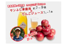 数量 限定 りんご ジュース 家庭用 訳あり リンゴ サンふじ 7～9個 りんごジュース 品種おまかせ 1L×1本 セット 青森県 鰺ヶ沢町産 megumi farm フルーツ 果物 飲み物 1000ml 青森 林檎 ふじ