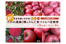 りんご 定期便 3ヶ月 青森 訳あり リンゴ 3種 サンつがる 紅玉 サンふじ 約3kg (8～12玉) 3回 たわわ農園 フルーツ 果物 定期 9月・10月・11月発送予定 オンライン決済限定	
