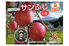 りんご 訳あり 青森 サンふじ リンゴ 小玉 約 5kg （18～22玉） 青森県 鰺ヶ沢町産 西樹園 フルーツ 果物 果物類 白神山地 林檎 サンフジ ふじ