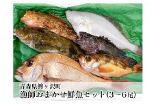漁師おまかせ鮮魚セット(3～6尾)※北海道・東北・関東限定