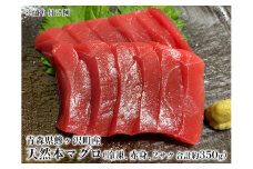 青森県鰺ヶ沢町産 天然本マグロ（冷凍、赤身2サク、約350g）