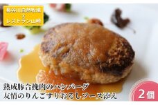ハンバーグ 熟成豚合挽肉のハンバーグ 2個 友情のりんごすりおろしソース添え セット 湯煎 温めるだけ レトルト 小分け 個包装 お試し 簡単 簡単調理 惣菜 おかず お弁当 弁当 時短 肉 お肉 熟成肉 豚肉 ギフト 贈答 冷凍 長谷川自然牧場産