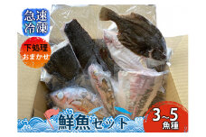 下処理おまかせ鮮魚セット（3～5魚種）