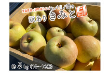 りんご 訳あり 青森 きみと リンゴ 約 5kg （10～16玉） 青森県 鰺ヶ沢町産 ヒバリノ園 フルーツ 果物 林檎 青森県産 ※オンライン決済のみ 
