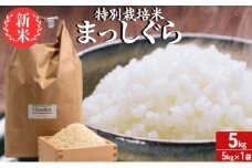 新米 令和6年産 まっしぐら 白米 5kg 1袋 米 精米 こめ お米 おこめ コメ ご飯 ごはん 令和6年 特別栽培米 H.GREENWORK 青森 青森県