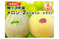 メロン タカミメロン ゆうかメロン 計 2玉 食べ比べ セット 高級 フルーツ 果物 青肉メロン 青肉 季節のフルーツ 旬のフルーツ 旬の果物 旬 産地直送 2025年 2025 青森 青森県