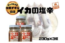 いか塩辛 小セット 合計690g（230g×3瓶）