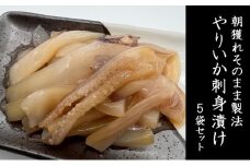 イカ 朝獲れ そのまま製法 やりいか 刺身 漬け 5袋 セット いか 冷凍 おつまみ 詰め合わせ おつまみセット 海鮮 魚介類 魚介 海産物 だし醤油 ぶつ切り 新鮮
