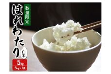 新米 数量限定 令和7年産 はれわたり 白米 5kg 1袋 米 精米 こめ お米 おこめ コメ ご飯 ごはん 特A 特A米 令和7年 限定 H.GREENWORK 青森 青森県 鯵ヶ沢町 