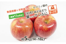 糖度13度以上 ヒバリノ園 【 紅虎 】 あどはだり 葉とらず サンふじ 約 5kg （14～18玉）青森県鰺ヶ沢町産りんご 果物類 フルーツ ※オンライン決済のみ 