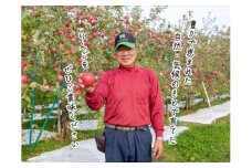 【 1月発送 】ヒバリノ園 サンふじ 約 5kg （14～18玉）青森県鰺ヶ沢町産 りんご 果物 フルーツ デザート シャキシャキ ※オンライン決済のみ