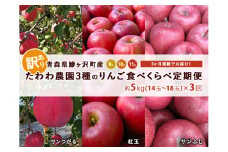 りんご 定期便 3ヶ月 青森 訳あり リンゴ 3種 サンつがる 紅玉 サンふじ 約5kg (14～18玉) 3回 たわわ農園 フルーツ 果物 定期 9月・10月・11月発送予定 ※オンライン決済限定