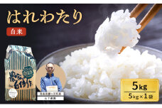 米 令和7年産 はれわたり 白米 5kg 1袋 精米 こめ お米 おこめ コメ ご飯 ごはん 特A 特A米 令和7年 山下農園 青森 青森県 鯵ヶ沢町 