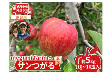 【9月中旬クール便発送】青森県鰺ヶ沢町産りんご 糖度12度以上 megumi farmのサンつがる 家庭用 約5kg（10～16玉入） 果物類 フルーツ 産地直送 安全 安心 