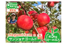【10月中旬発送】青森県鰺ヶ沢町産りんご 糖度13度以上 megumi farmのサンジョナゴールド 家庭用 約5kg（10～16玉入） 果物類 フルーツ 産地直送 安全 安心 