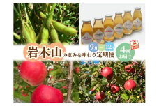 【定期便 全4回】岩木山の恵みを味わう定期便 合計4種類 毛豆 ジョナゴールド サンふじ りんごジュース 果物類 フルーツ 人気
