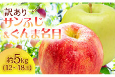 【訳あり】サイキチ農園のサンふじ・ぐんま名月セット 約5kg(12～18玉) 青森県鰺ヶ沢町産りんご 果物 フルーツ 果汁たっぷり りんご食べ比べ 